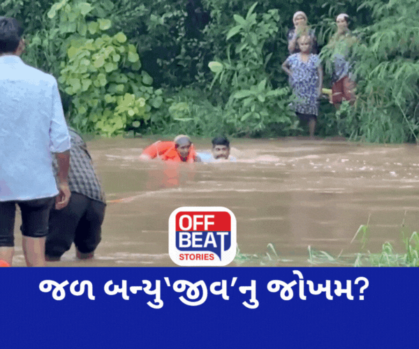 આ જિલ્લામાં 3 નદીઓ બની ગાડીતૂર!